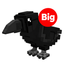 1 item; Big Black Crow
