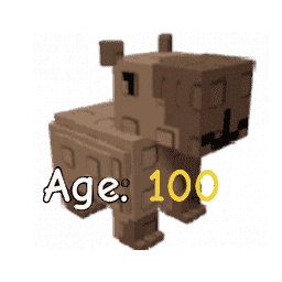 1 item; Age 100 Capybara