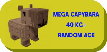 1 item; Mega Capybara 40 Kg + Random Age