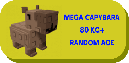 1 item; Mega Capybara 80 Kg + Random Age