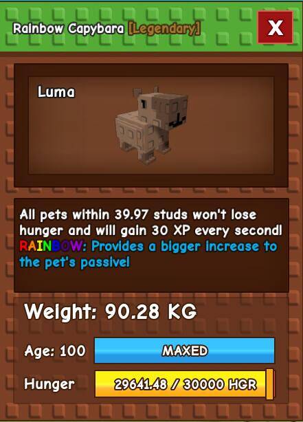1 item; Rainbow Capybara|90 kg + 100 age