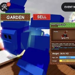 1 item; Rainbow Christmas Gorilla | 38.91 Kg + 100 Age