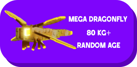 1 item; Mega Dragonfly 80 Kg + Random Age