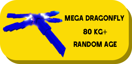 1 item; Rainbow Dragonfly 80 Kg + Random Age