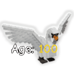 1 item; Age 100 Swan