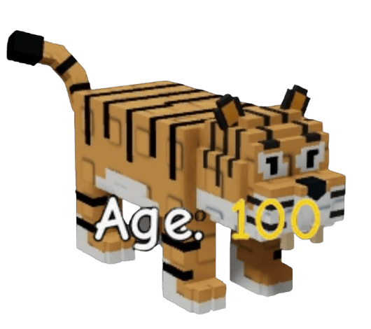 1 item; Age 100 Tiger