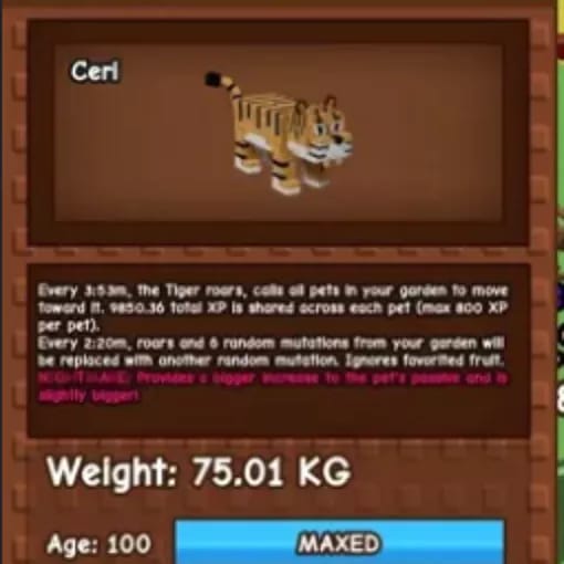 1 item; Nightmare Tiger | 75 kg + 100 age