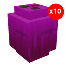 10 items; Spirit Coconut X10