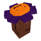1 item; Spirit Sunflower X1