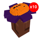10 items; Spirit Sunflower X10