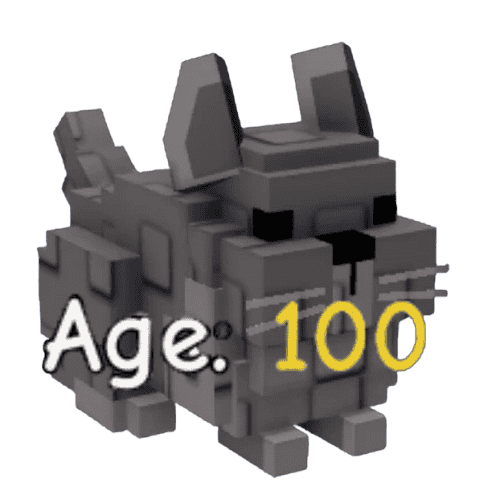 1 item; Age 100 Chinchilla