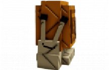 1 item