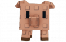 1 item