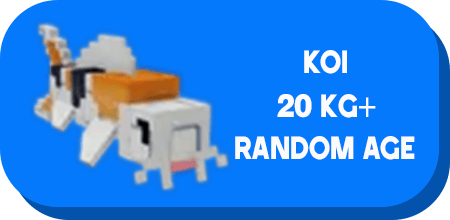 1 item; Koi 20 Kg + Random Age