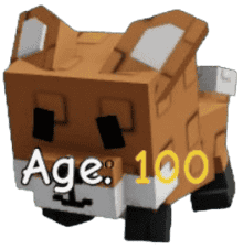 1 item; Age 100 Red Fox