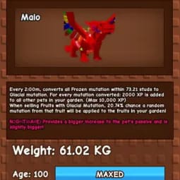 1 item; NIGHTMARE RAINBOW HATCHED FROST DRAGON | 61 Kg + 100 Age