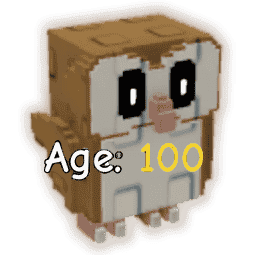 1 item; Age 100 Barn Owl