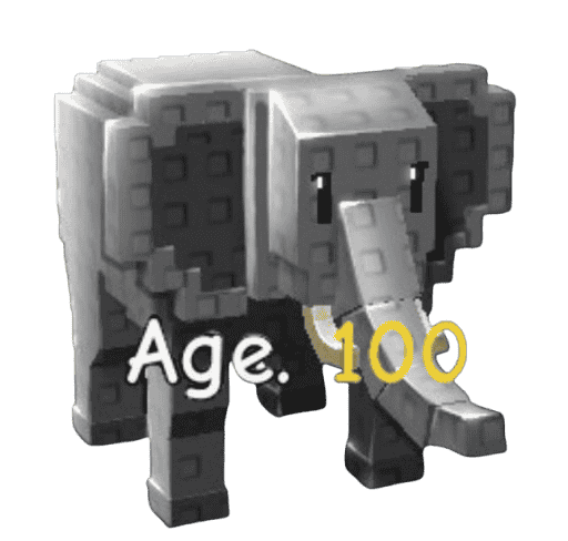 1 item; Age 100 Elephant