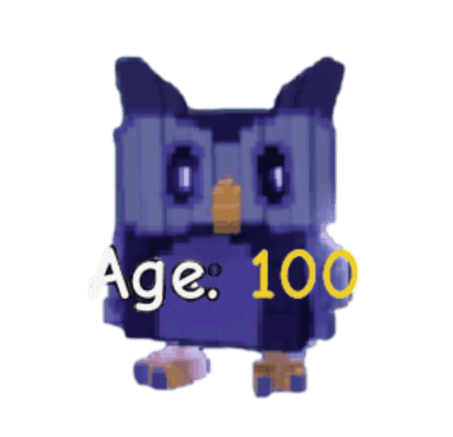 1 item; Age 100 Night Owl