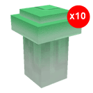 10 items; Spirit Mushroom X10