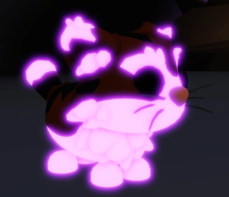 1 Munchkin Cat; Variant: MFR