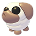Snowball Pug