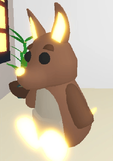 1 Kangaroo; Variant: NFR