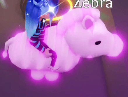 1 Zebra; Variant: MFR