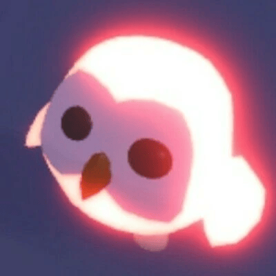 1 Owl; Variant: NFR