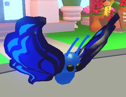 1 Blue Butterfly; Variant: NFR