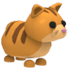 Ginger Cat