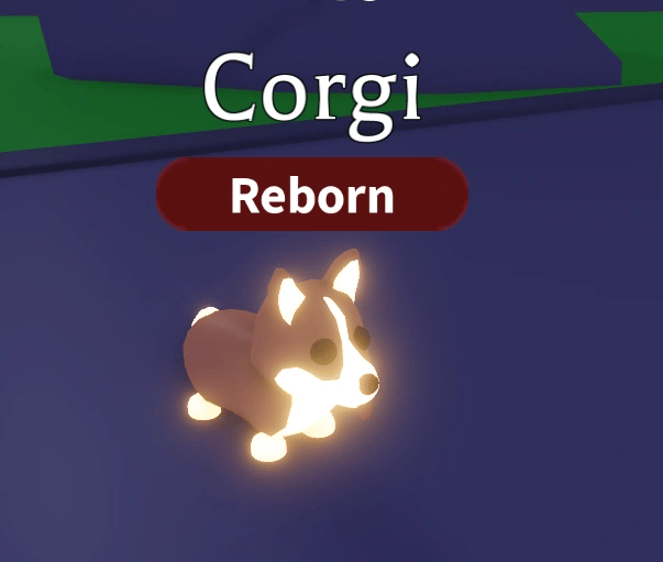 1 Corgi; Variant: NFR