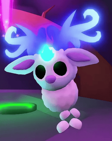 1 Winter Doe; Variant: NFR
