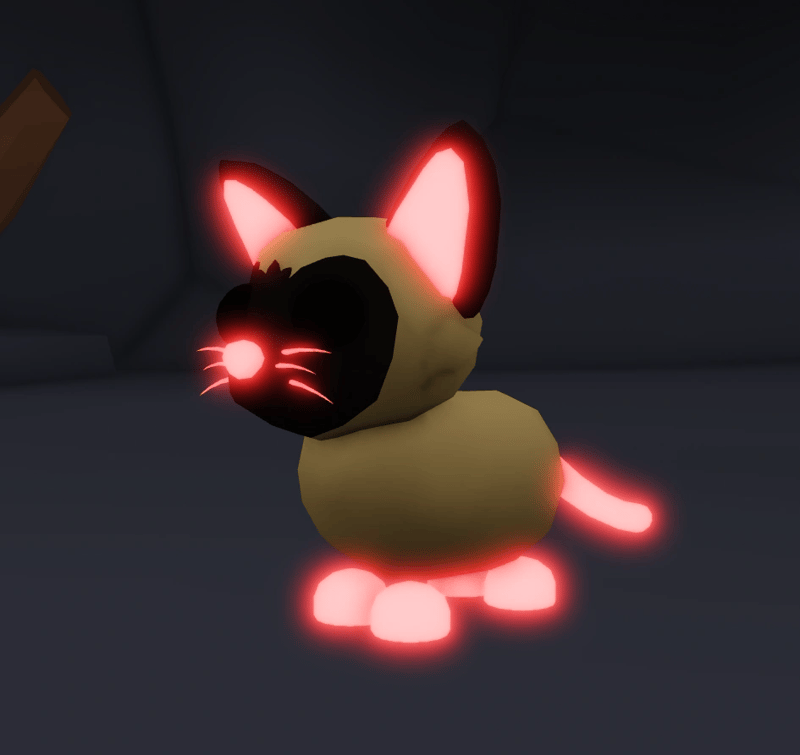 1 Siamese Cat; Variant: NFR