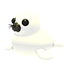 Harp Seal