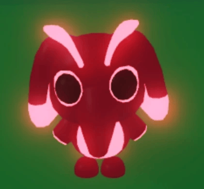 1 Snorgle; Variant: NFR