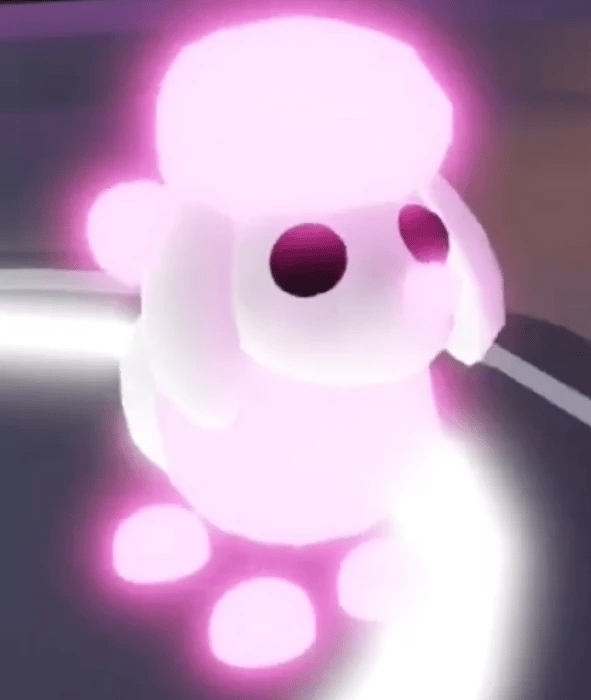 1 Poodle; Variant: NFR