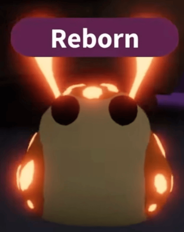 1 Hopbop; Variant: NFR