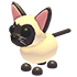 Siamese Cat
