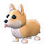 Corgi