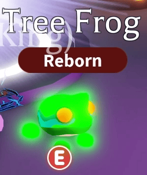 1 Tree Frog; Variant: NFR