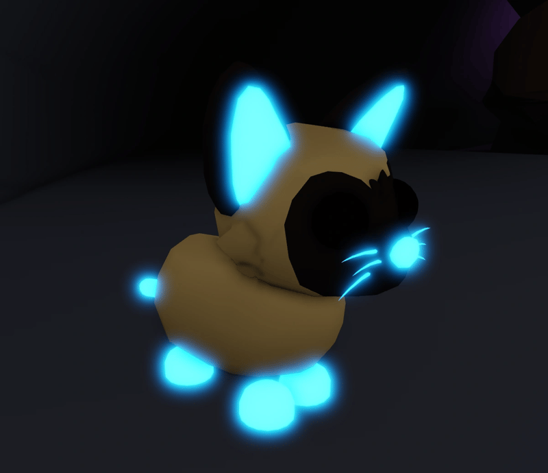 1 Siamese Cat; Variant: MFR