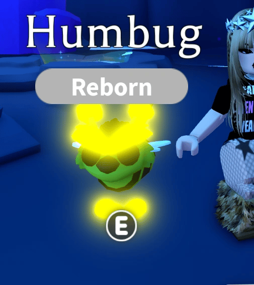 1 Humbug; Variant: NFR