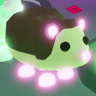 1 Hedgehog; Variant: NFR