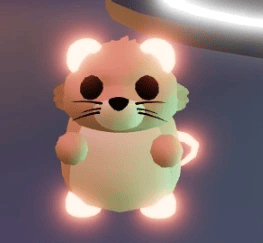 1 Muskrat; Variant: NFR