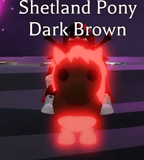 1 Shetland Pony Dark Brown; Variant: MFR