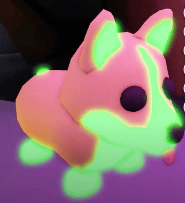 1 Corgi; Variant: MFR