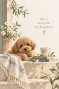 Watercolor poodle resting on steps with daisies, 