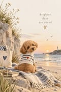 Coastal poodle in sweater on beach at sunset, 