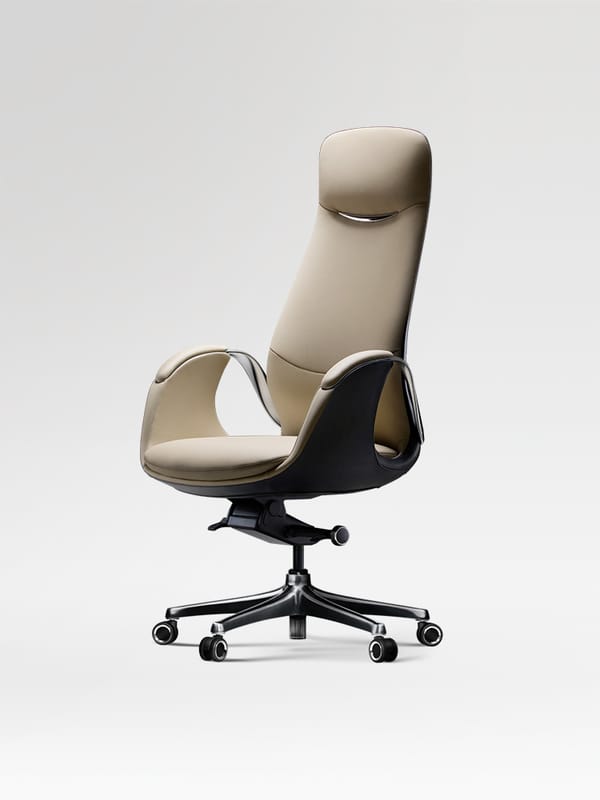 TOMU Y05 Explorer Executive Chair High Back for Long Hours